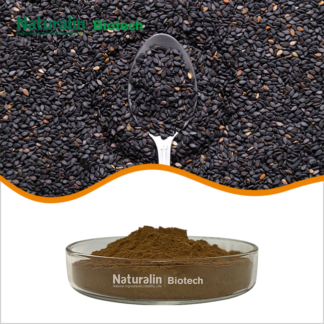 Black Sesame Extract Powder Black Sesame Extract Powder